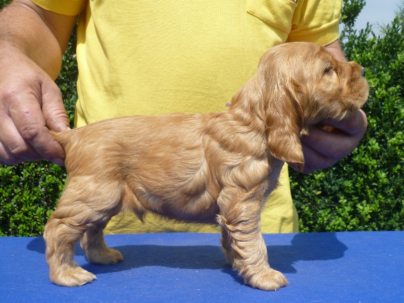 20. Grey pod Ořechem-fialová.JPG